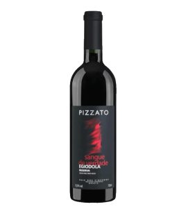 Vin rouge brésilien - Rio Grande do Sul - DO Vale dos Vinhedos - Pizzato Vinhos - Cuvée Egiodola Reserva