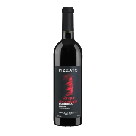 Vin rouge brésilien - Rio Grande do Sul - DO Vale dos Vinhedos - Pizzato Vinhos - Cuvée Egiodola Reserva