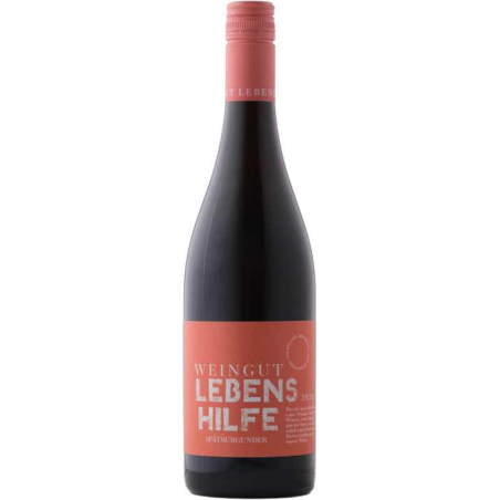 Vin rouge allemand bio - Pfalz - Weingut Lebenshilfe - Cuvée Spätburgunder