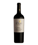 Vin rouge chilien - DO Cachapoal - Viña Valle Secreto - Cuvée First Edition - Carménère
