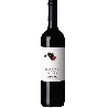 Vin rouge espagnol - DO Somontano - Bodega Enate - Cuvée Shiraz