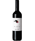 Vin rouge espagnol - DO Somontano - Bodega Enate - Cuvée Shiraz