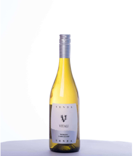 Vin blanc italien sec - Abruzzes - DOC Trebbiano d'Abruzzo - Azienda Venea - Cuvée Vitali