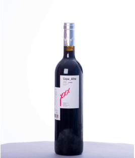 Vin rouge espagnol - Castille et León - DO Ribera del Duero - Bodegas La Cepa Alta - Cuvée Cepa Alta Crianza - Tempranillo