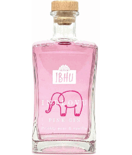 Gin sud-africain - Stellenbosch - Ibhu Gins - Indlovu Pink