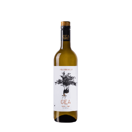 Vin blanc espagnol bio sec - IGP Vinos de la Tierra de Castilla - Bodegas Alcardet - Cuvée Gea Chardonnay Viña Serengueti