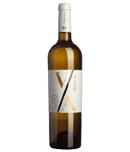Vin blanc indien sec - Maharashtra / Karnataka Region - Grover Zampa - Cuvée Vijay Amritraj Reserve Blanc