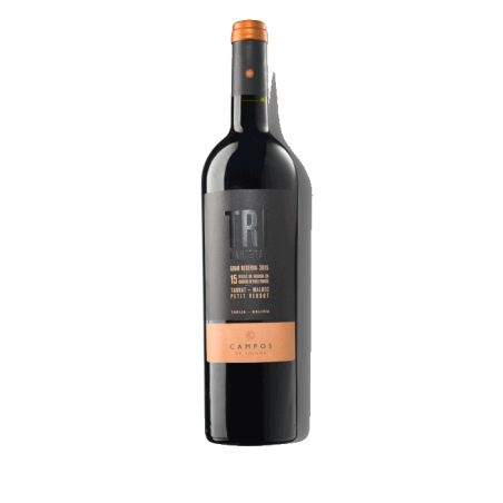 Vin rouge bolivien - Tarija Valley - Bodega Campos de Solana - Cuvée Tri Varietal