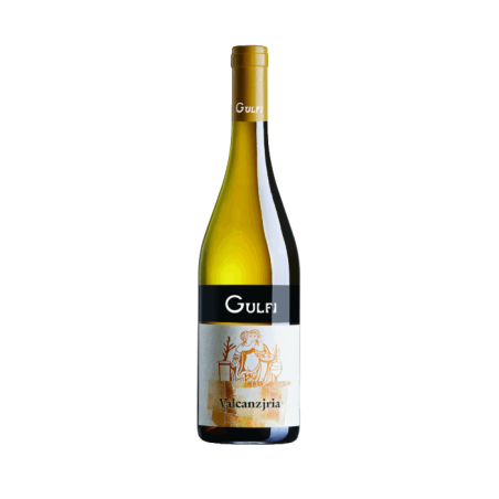 Vin blanc italien bio sec vegan - Sicile - IGT Terre Siciliane - Cantina Gulfi - Cuvée Valcanzjria