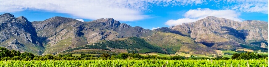 Achetez vos vins africains et sud-africains