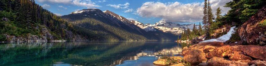 Goûtez nos vins du Canada et des États-Unis