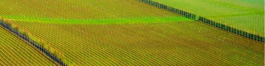 Commandez votre vin anglais en ligne – Wines of Earth