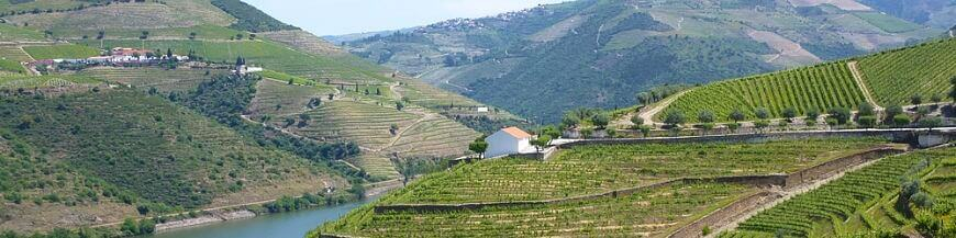 Achetez votre vin portugais chez un e-caviste