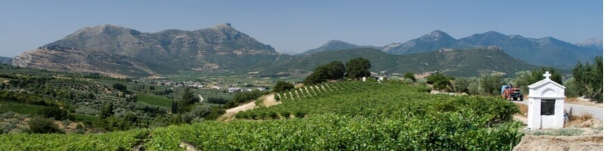 Commandez votre vin grec en ligne – Wines of Earth