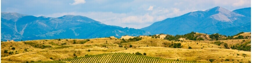 Commandez votre vin bulgare en ligne - Wines of Earth