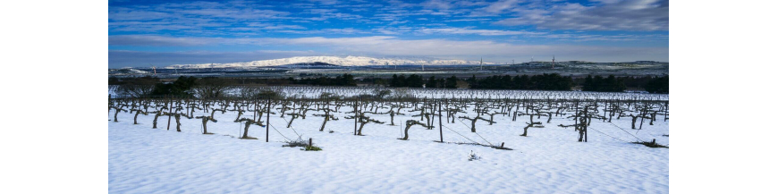 Commandez votre vin libanais sur Internet