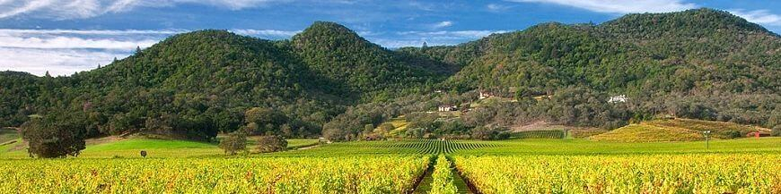 Commandez votre vin américain en ligne - Wines of Earth