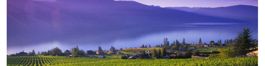 Commandez votre vin canadien en ligne – Wines of Earth