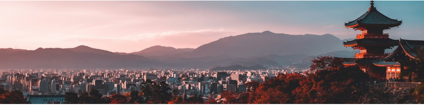 Commandez votre vin japonais en ligne – Wines of Earth