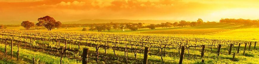 Achetez le meilleur vin australien de Belgique
