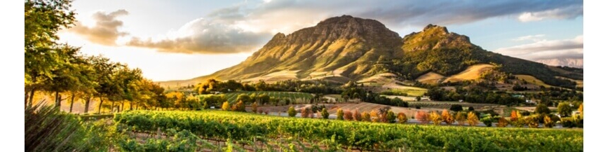 Achetez votre vin d'Afrique du Sud en ligne - Wines Of Earth