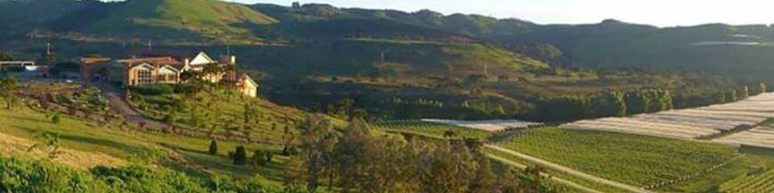 Commandez votre vin brésilien sur Internet