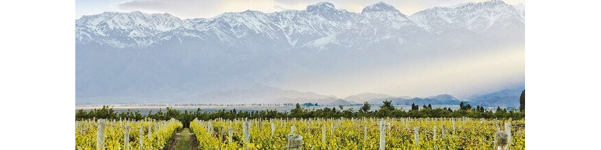 Achetez votre vin argentin en quelques clics