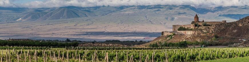 Commandez votre vin arménien en ligne - Wines of Earth