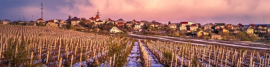 Commandez votre vin moldave en ligne – Wines of Earth