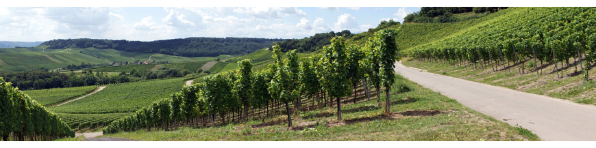 Acheter du vin luxembourgeois en ligne