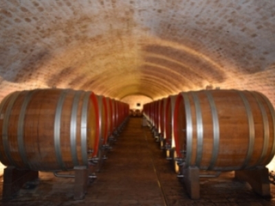 Fabrication des fûts : quels bois utilisés pour la vinification ?