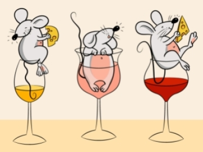 Guide sur les goûts de souris (GDS) : défaut difficile à cerner