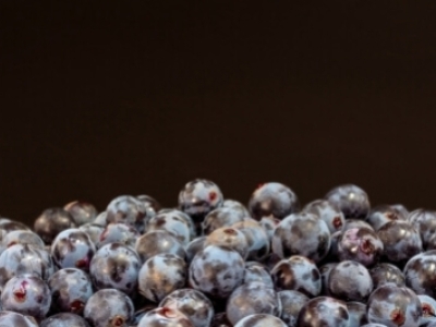 Ajout de dioxyde de soufre dans le vin : est-ce dangereux ?