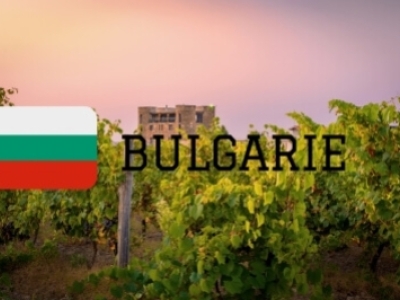 Venez goûter les cuvées de la talentueuse maison Midalidare