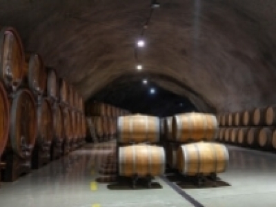 Achetez vos vins du monde chez un spécialiste en ligne