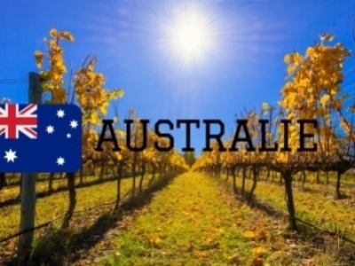 Vins australiens : coup de cœur à l'origine de Wines of Earth