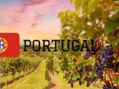 Le Portugal : l'étoile montante des vins d'Europe du Sud