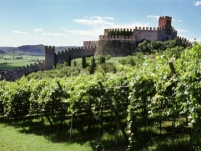 Dégustation de vins d'Italie : Piémont, Vénétie, Pouilles, Sicile